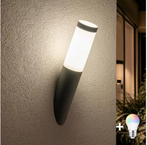 BRILAGI - Lampă de perete LED RGBW pentru exterior ELIA 1xE27/6,5W/230V 2700-6500K IP44 antracit