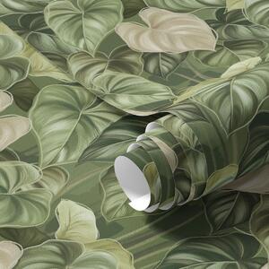 Tapet Frunze luxuriante de filodendron în nuanțe de verde și fildeș, Tapet natura, Tapet frunze, a00695 : Uwalls.ro