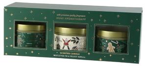 Set de lumânări de Crăciun Merry Christmas Mistletoe and fir/Velvet vanilla, 3 buc