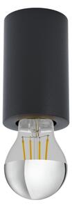 Eglo 99065 - Corp de iluminat de tavan SALUZZO 1xE27/40W/230V