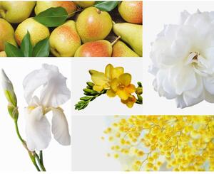 Set de 2 lumânări albe parfumate Privé Home Lemon Verbena/Mimosa-Poire