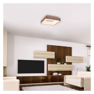 Rabalux 5056 - Plafonieră LED CARMELA LED/30W/230V