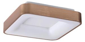 Rabalux 5056 - Plafonieră LED CARMELA LED/30W/230V