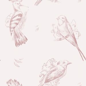 Tapet Toile cu păsări: schițe de păsări, fundal roz pal, Tapet animale, Tapet păsări, a00656 : Uwalls.ro
