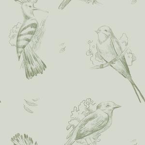Tapet Toile cu păsări: schițe de păsări pe fundal gri-verde, Tapet animale, Tapet păsări, a00656v1 : Uwalls.ro