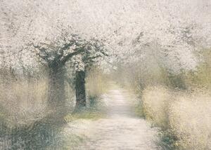 Ilustrație Cherry blossom, Nel Talen, (40 x 30 cm)