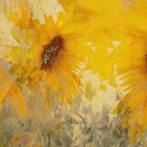 Ilustrare Sunflower, Nel Talen, (40 x 40 cm)