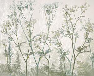 Ilustrație Cow parsley, Nel Talen, (40 x 35 cm)