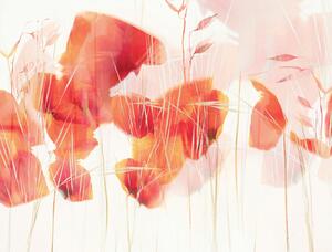 Ilustrare Modern poppies, Nel Talen, (40 x 30 cm)
