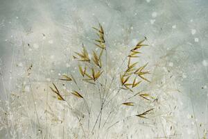 Ilustrare Wintertime, Nel Talen, (40 x 26.7 cm)
