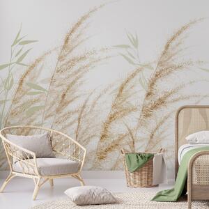 Tapet Pampas și iarbă uscată, Fototapet Natură, w04863 : Uwalls.ro