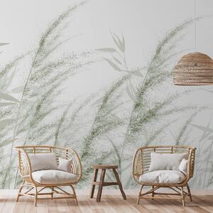 Tapet Pampas și iarbă uscată, Fototapet Natură, w04863v2 : Uwalls.ro