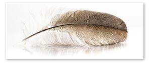 Tablou Styler Glasspik Wings, 50 x 125 cm