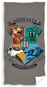 Prosop Harry Potter stemă Lycea Hogwarts, 70 x 140 cm