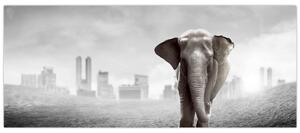 Tablou - Elefanți în oraș, versiunea alb-negru (120x50 cm)