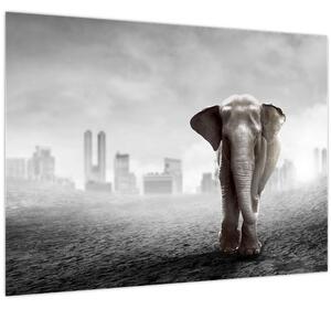 Tablou - Elefanți în oraș, versiunea alb-negru (70x50 cm)