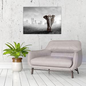 Tablou - Elefanți în oraș, versiunea alb-negru (70x50 cm)