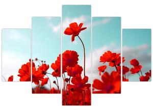 Tablou - Câmp cu flori roșu deschis (150x105 cm)