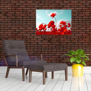 Tablou - Câmp cu flori roșu deschis (70x50 cm)