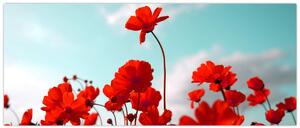 Tablou - Câmp cu flori roșu deschis (120x50 cm)