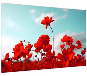 Tablou - Câmp cu flori roșu deschis (90x60 cm)