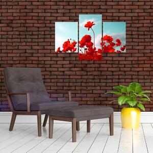 Tablou - Câmp cu flori roșu deschis (90x60 cm)