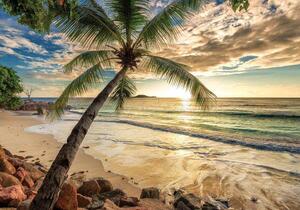 Fototapet peisaj marin răsărit de soare pe plaja tropicală - 11732 - Fototapet24
