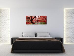 Tablou - Arțarul japonez roșu, Portland, Oregon (120x50 cm)
