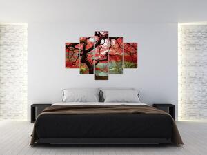 Tablou - Arțarul japonez roșu, Portland, Oregon (150x105 cm)