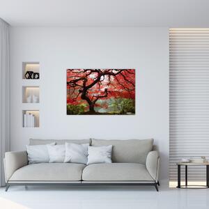 Tablou - Arțarul japonez roșu, Portland, Oregon (90x60 cm)