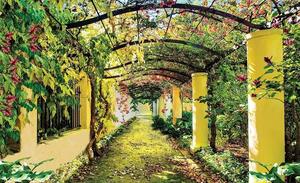 Tapet mural cu arcadă verde - 2296 - Fototapet24