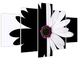 Tablou - Floare, alb- negru (150x105 cm)