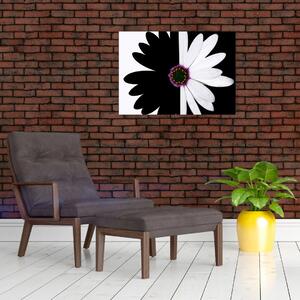 Tablou - Floare, alb- negru (70x50 cm)