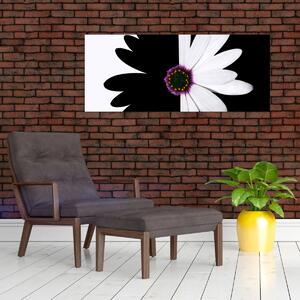 Tablou - Floare, alb- negru (120x50 cm)