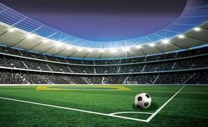 Fototapet Stadium - C04128 - Fototapet24.ro