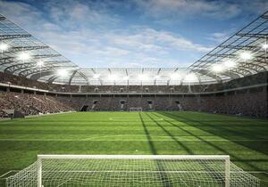 Fototapet pentru camera copiilor, teren de fotbal - 11798 - Fototapet24