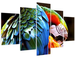 Tablou - Papagal (150x105 cm)
