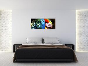 Tablou - Papagal (120x50 cm)
