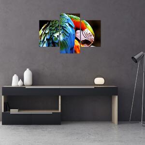 Tablou - Papagal (90x60 cm)