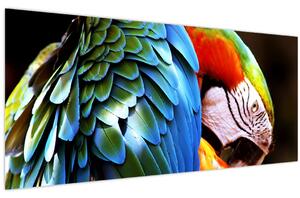 Tablou - Papagal (120x50 cm)