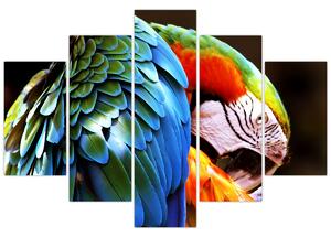 Tablou - Papagal (150x105 cm)
