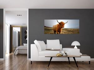 Tablou - Vaci scoțiene (120x50 cm)