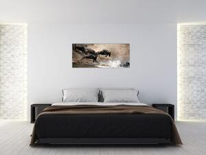 Tablou - Turmă de gnu (120x50 cm)