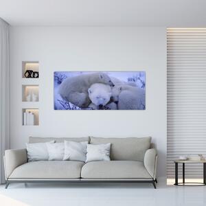 Tablou - Urși polari (120x50 cm)