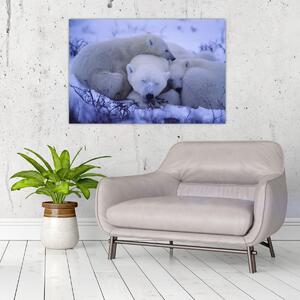 Tablou - Urși polari (90x60 cm)