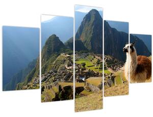 Tablou - Lama și Machu Picchu (150x105 cm)