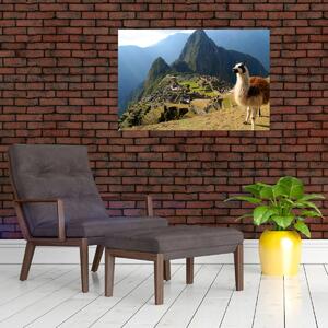 Tablou - Lama și Machu Picchu (90x60 cm)