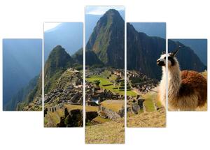 Tablou - Lama și Machu Picchu (150x105 cm)