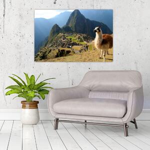 Tablou - Lama și Machu Picchu (90x60 cm)