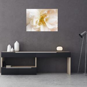 Tablou - Floare (70x50 cm)